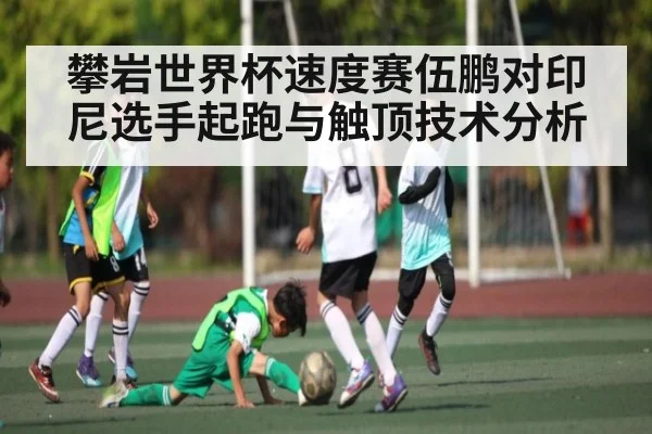 攀岩世界杯速度赛伍鹏对印尼选手起跑与触顶技术分析
